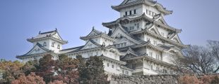 Теперь в Японии туристы могут жить в священных храмах