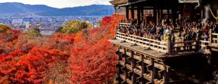 В популярном японском городе Киото ввели налог с туристов