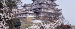 Япония обложила туристов новым налогом - на выезд из страны